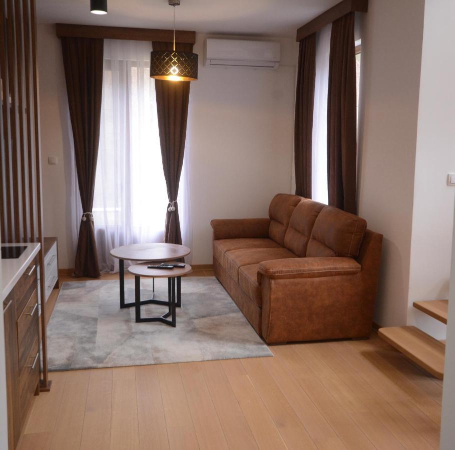 Crown House Aparthotel Vrnjačka Banja Buitenkant foto